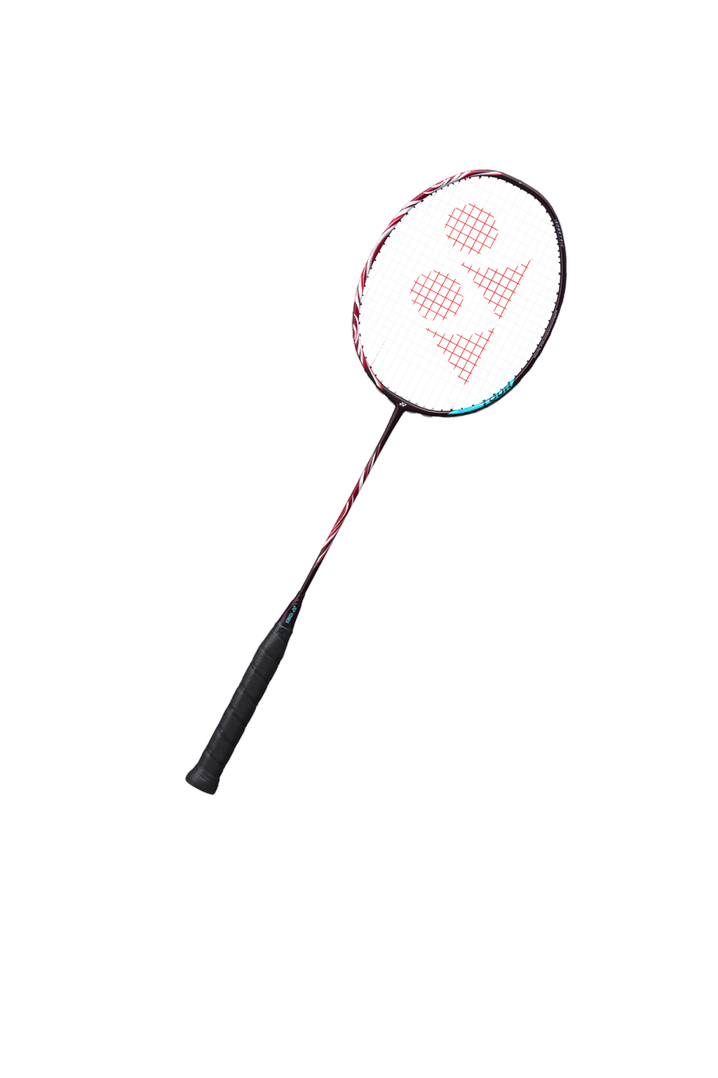 ASTROX 100 TOUR